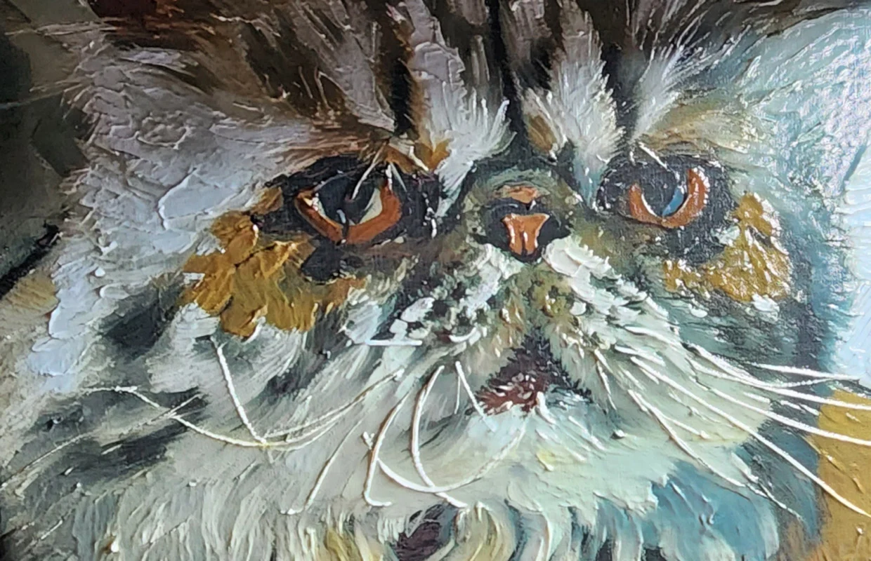 Close-up van relief printing op premium berken multiplex